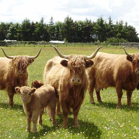 Smugglers Rock Country House Ravenscar Zewnętrze zdjęcie